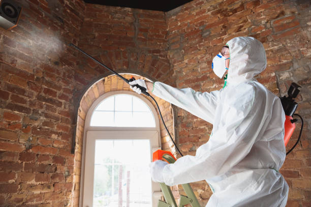 Best Industrial Mold Remediation in Smithville Sanders, IN